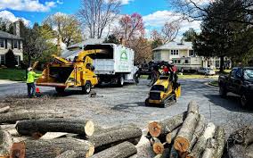 Best Emergency Tree Removal  in Waelder, TX